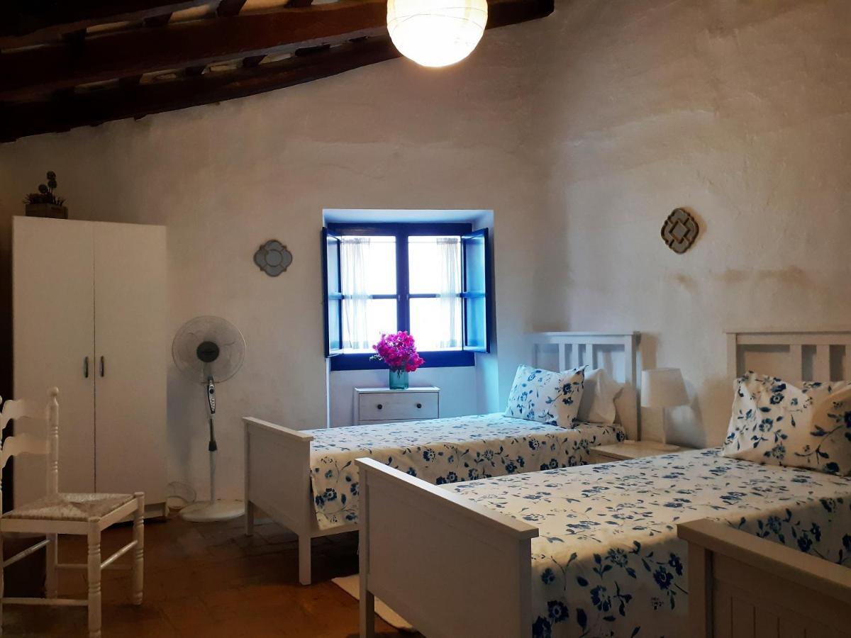 Little Vine Bed and Breakfast Sant Pere De Ribes Εξωτερικό φωτογραφία