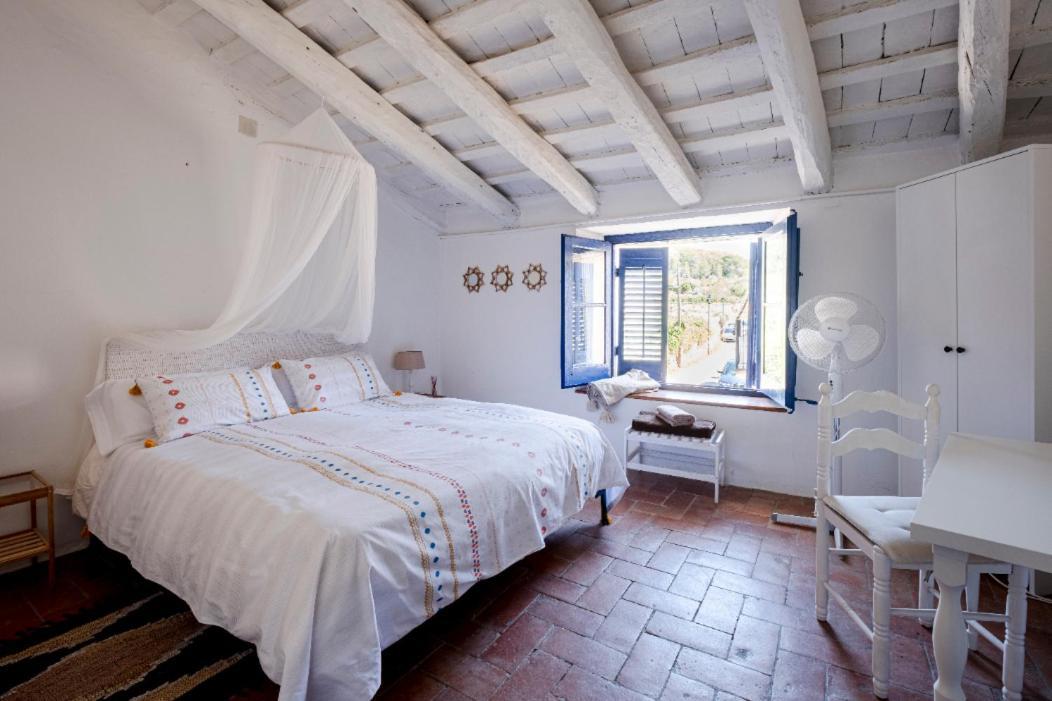 Little Vine Bed and Breakfast Sant Pere De Ribes Εξωτερικό φωτογραφία
