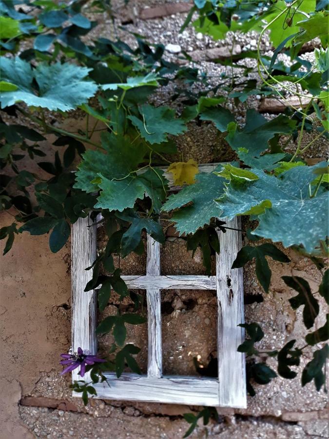 Little Vine Bed and Breakfast Sant Pere De Ribes Εξωτερικό φωτογραφία